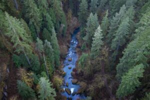 Read more about the article Call To Action: Oregon State Parks